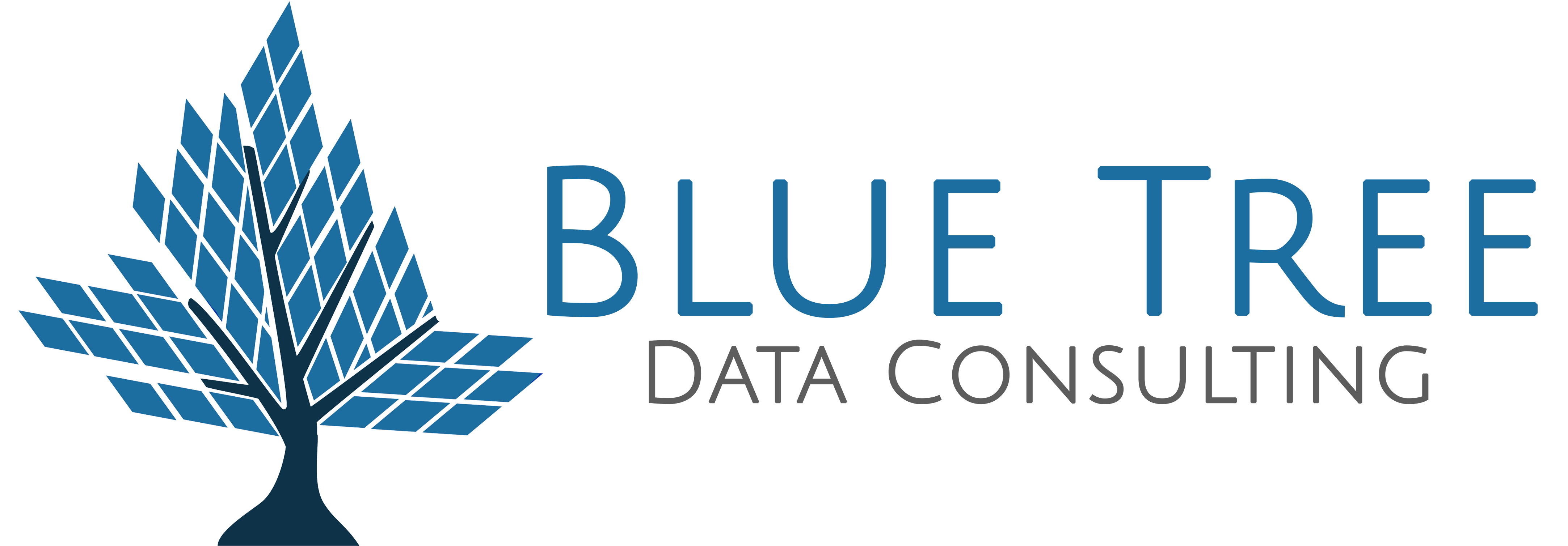 blue tree data consulting logo strategic planning coaching technology leadership data dashboard speaking